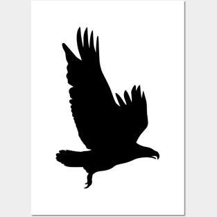 Flying hawk silhouette Posters and Art